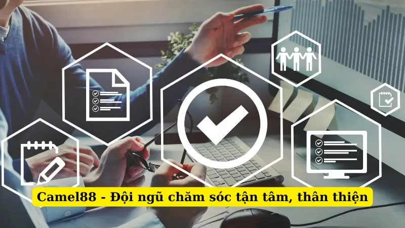 Camel88 - Đội ngũ chăm sóc tận tâm, thân thiện