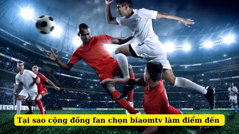 Tại sao cộng đồng fan chọn biaomtv làm điểm đến?